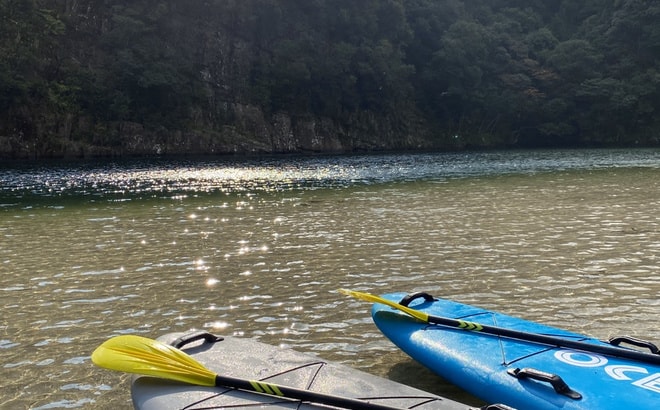 s__18063387_20191218181637322.jpg