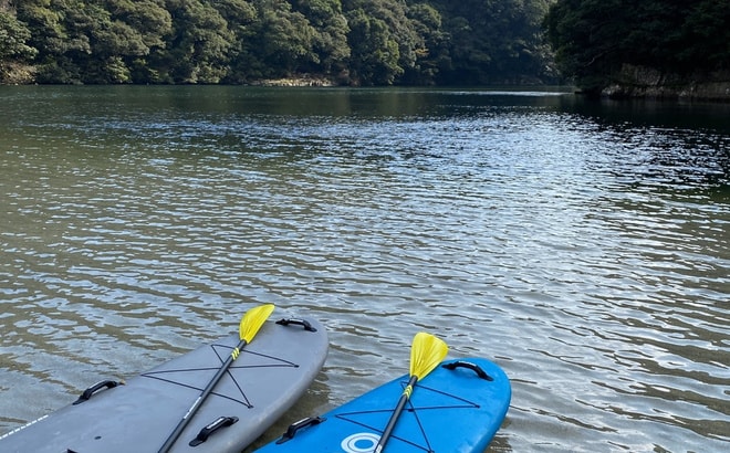 s__18063393_20191218181638669.jpg