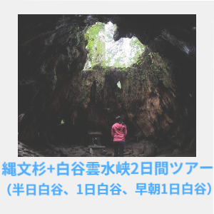 縄文杉+白谷雲水峡2日間ツアー