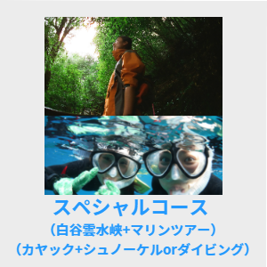 スペシャルコース 白谷雲水峡+マリンツアー