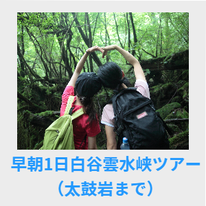 早朝1日白谷雲水峡ツアー