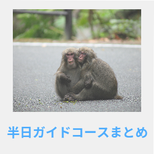 半日ガイドコースまとめ