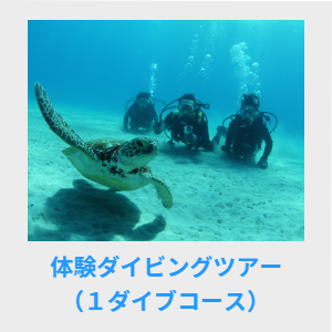 体験ダイビングツアー
